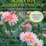 Полезные инструменты для дачи